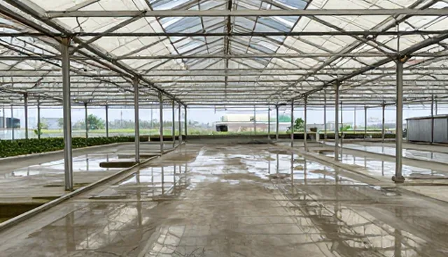 化方案实施中的合作关系选型与执行环节分析